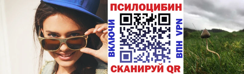 Псилоцибиновые грибы Cubensis как найти закладки MEGA ONION Павловск